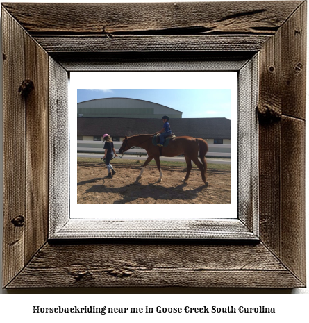 horseback riding near me in Goose Creek, South Carolina